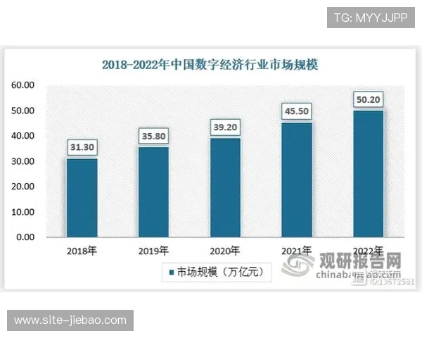 数字化体育课程吸引年轻用户群体，参与率同比攀升。